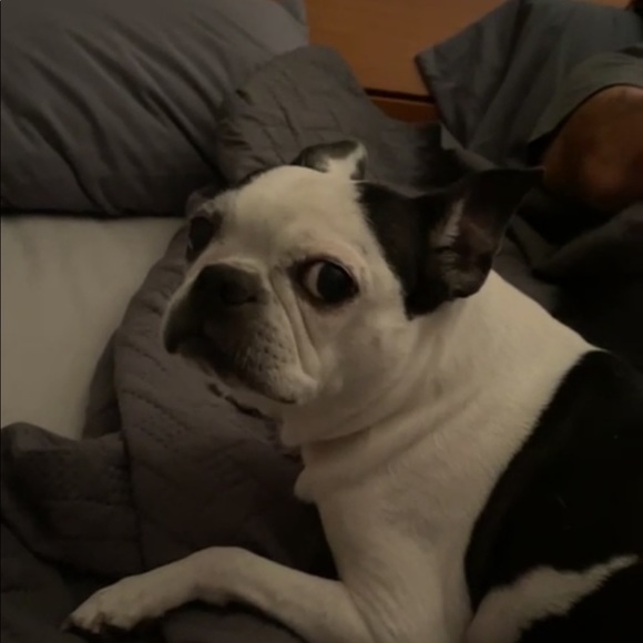 Meet your Posher, Nathan - Picture 1 of 1